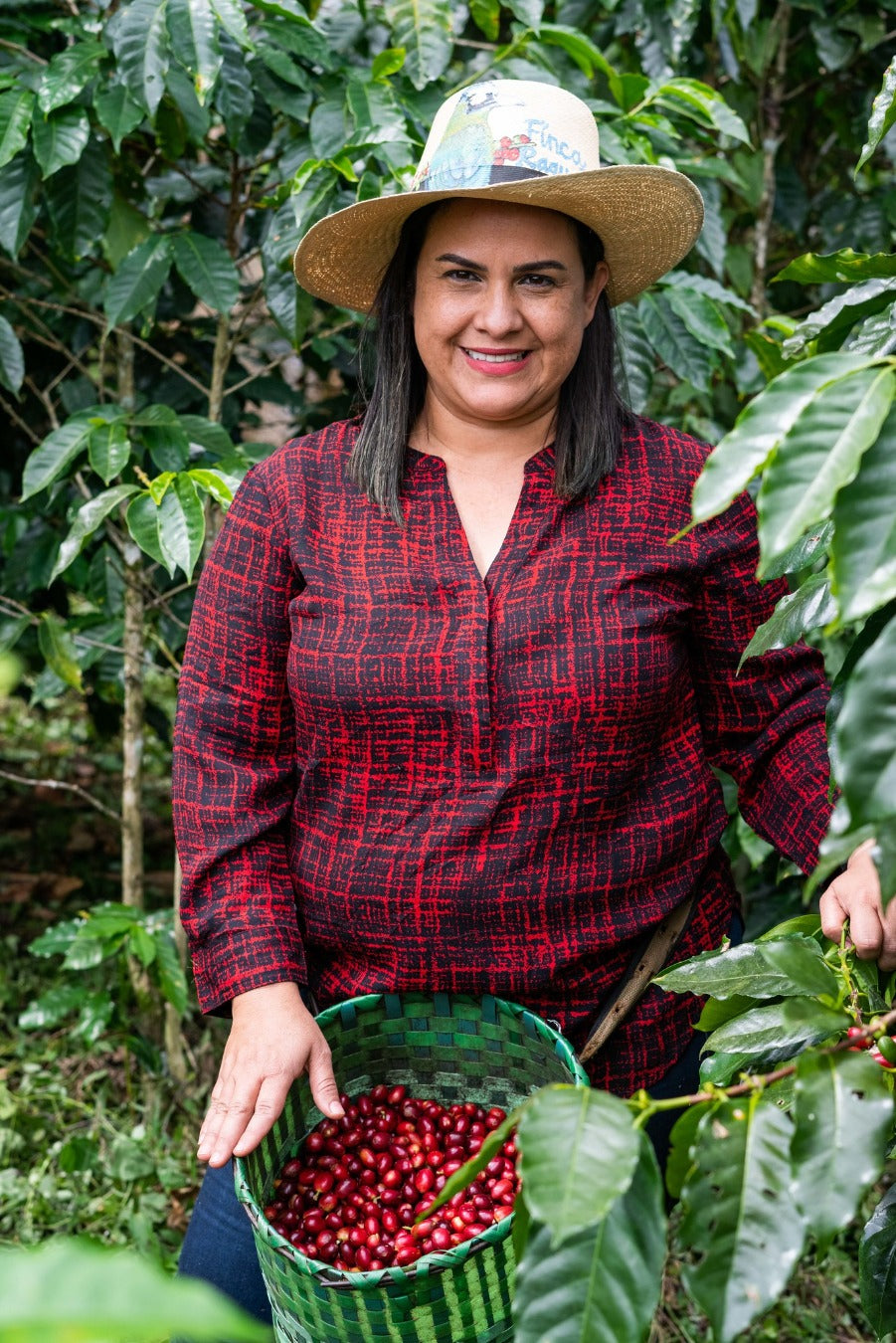 Honduras Monte Fresco Parainema Washed – Medium Roast Specialty Coffee, 50g Sample